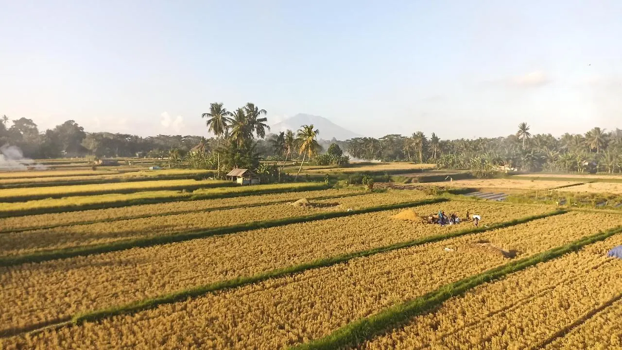 Apartamento Gending Sari House Ubud Indonesia