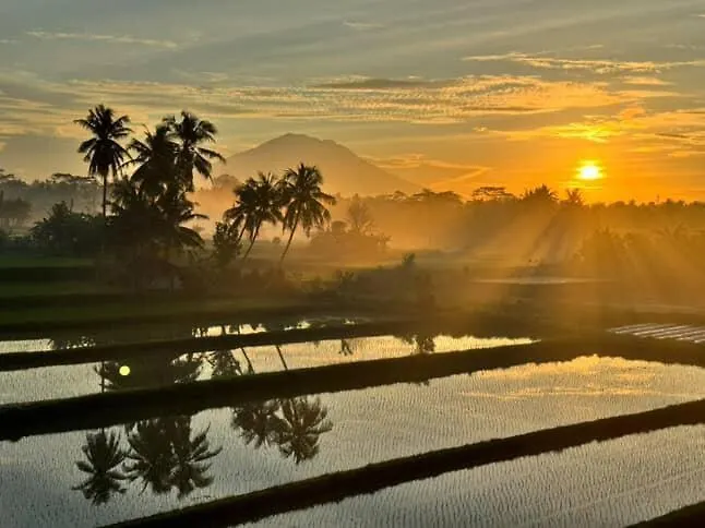 Gending Sari House Apartment Ubud  Indonesia
